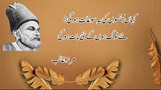 mirza galib ki shayari 🥀🍁 shayari  poetry  qoets qoets poetry shayaristatus [upl. by Malilliw]