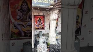 Joy Mahadev 🙏🕉️mahadev shorts trending everyone viralshorts [upl. by Zindman]