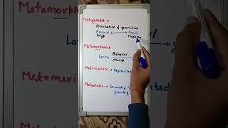 Difference Between Metagenesis Metamorphosis Metamerism And Metastasis  neet short [upl. by Sardse]