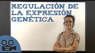 Regulación de la expresión genética [upl. by Akitahs883]