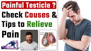 Testicles pain  What to do  Causes and Treatment  Dr Health [upl. by Orelia535]