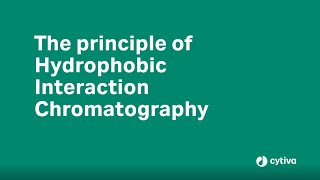 Principles of Hydrophobic Interaction Chromatography [upl. by Gerfen523]