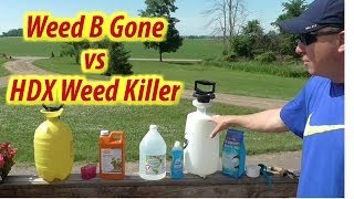 Weed Killer Challenge Vinegar Weed B Gone vs HDX [upl. by Matteo491]