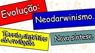 Evolução Neodarwinismo Teoria sintética da evolução ou nova síntese [upl. by Allveta]