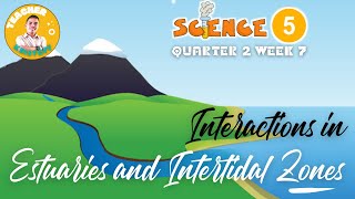 SCIENCE 5 Q2 WEEK 7  INTERACTIONS IN ESTUARIES AND INTERTIDAL ZONES [upl. by Nya765]