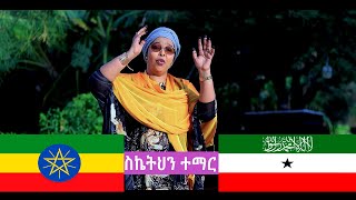 Sahra Ilays ስኬትህን ተማር  Somaliland Guushaada Daadihi Official Video 2024 [upl. by Tremain]