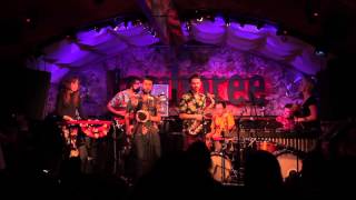 REPTILIAN MAMBO 4  Live at Jamboree Barcelona [upl. by Elvia]