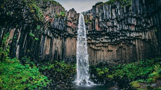 Serenity Falls  Soothing Waterfall Sounds for Relaxation and Meditation  Waterfall Ambience [upl. by Mellicent999]