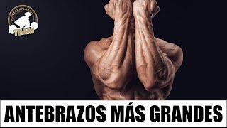 CÓMO ENTRENAR LOS ANTEBRAZOS [upl. by Dweck386]