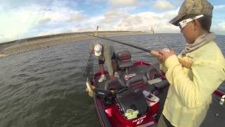 Alligator Gar Falcon Lake Sep 14 2013 [upl. by Mirabel171]