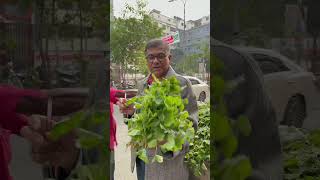 🌿নাপা শাক কে কে খেয়েছেন এর টেস্ট কেমন জানাবেন।বথুয়াশাক নাপাশাক Chenopodiumalbum Amaranthaceae [upl. by Flann947]