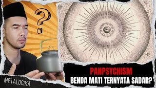 PANPSYCHISM⁉️ MISTERI KESADARAN PARTIKEL DAN REALITAS‼️ [upl. by Elleuqram]