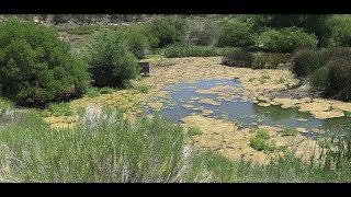 Coxey Truck Trail 3N14 from Hesperia to FawnskinBig Bear California [upl. by Danni]