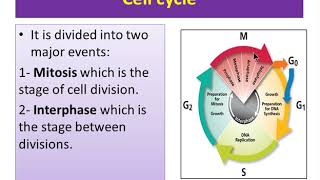 Revision cytogenatic [upl. by Whipple]