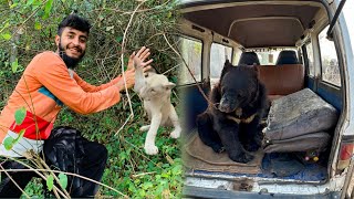 Turab Lion Mini Zoo Surprise 😱🏡 Shehr Main Dihat Today  Turab And Sibtain [upl. by Greenleaf]