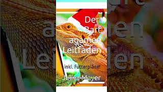 Dein ganzheitliches Bartagamenbuch INKLUSIVE Futterpläne für jedes Bartagamen Alter lohntsich 🎁✅😃 [upl. by Otrevlig]