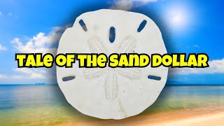 Tale of the Sand Dollar 😊 [upl. by Htebsil]