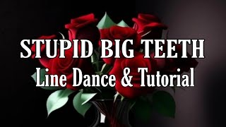 STUPID BIG TEETH  Line Dance DanceampTutorial [upl. by Dianne938]