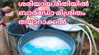 ശരിയായ രീതിയിൽ ബാര്ഡോ മിശ്രിതം തയ്യാറാക്കൽBordeaux mixture preparation [upl. by Erlandson503]