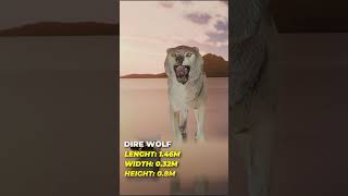 Extinct Animals Size Comparison 3D  3D Real Scale  3D Comparison  3D Animation [upl. by Makell]