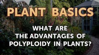 What Are the Advantages of Polyploidy in Plants [upl. by Frederik]