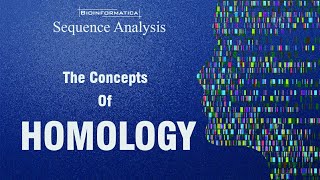 The concepts of Homology  HOMOLOGS ANALOGS ORTHOLOGS PARALOGS XENOLOGS HOMEOLOGS [upl. by Canute817]