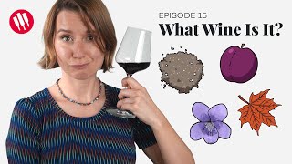 Learn by Tasting ep 15 Wine Folly [upl. by Forest561]