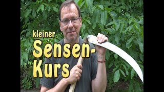 Kleiner Sensenkurs [upl. by Nnahgem]