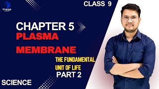 CHAPTER 5 The Fundamental Unit Of LifePART 2 class 9 [upl. by Neitsabes79]