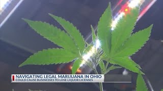 How recreational marijuana could affect Ohio liquor licenses [upl. by Neehsar419]