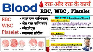 Human Blood  रक्त परिसंचरण तंत्र  RBC  WBC  Platelet  Plasma  Function of Blood  Blood Cell [upl. by Eelreveb345]