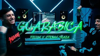 FELLON StebanDeaza  Guarabica Video Oficial [upl. by Ajssatsan]