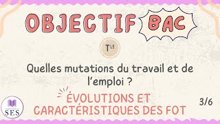 BAC Cours TravailEmploi  Évolution et caractéristiques des formes dorganisation du travail [upl. by Popper]