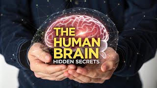 Inside the Human Brain Shocking Facts You Didn’t Know [upl. by Sherlocke]