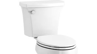 Absolute Integrity Handyman Services Inc Kohler Toilet Installation [upl. by Anisah]