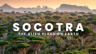 Socotra The Alien Place On Earth [upl. by Sigismond]