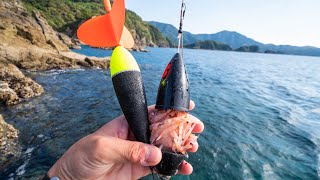 魚が沸く孤島で最強カゴ仕掛けを投入するとレアな魚が次々に釣れるwww [upl. by Andres]