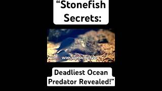 “Stonefish Secrets Deadliest Ocean Predator Revealed” [upl. by Hailey]