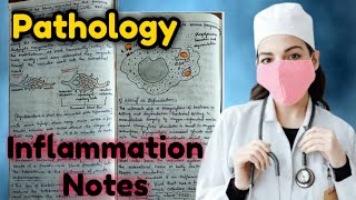 Inflammation Notes  Pathology Notes  Acute and Chronic Inflammation [upl. by Tavy]