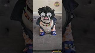 सदा हेकणे😆😂🤣😅 shorts viral comedy dubbing funnyanimals karamati karamativlog funnydog [upl. by Yart]