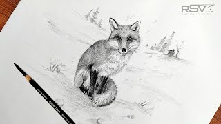 How to draw a fox 🦊🦊  pencil drawing  step by step  black and white [upl. by Ellecrag732]