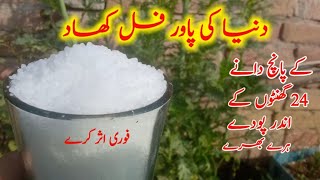 how to use urea fertilizer best method to use urea fertilizer uriya khad istemal Karne Ka Tarika [upl. by Akiret429]