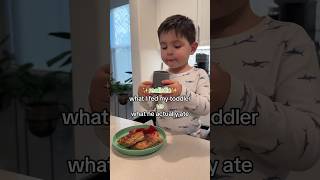 Last 10 min got cut off but go to my TikTok ✨whatmytoddlereats toddlermeals [upl. by Htebyram629]