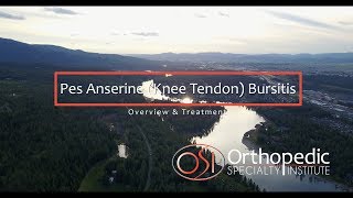 Pes Anserine Knee Tendon Bursitis [upl. by Leibarg]