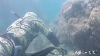 Ayhan BİBİ Antalya Zıpkınla Ahtapot Avı spearfishing turkey 13 [upl. by Chadwick]