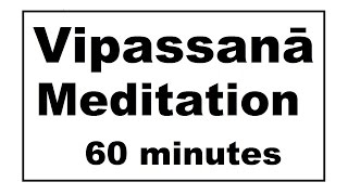 Vipassanā Meditation a daily meditation timer 60 minutes Bell every 5 Meditation videos series [upl. by Erdrich275]