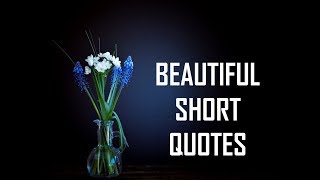 Beautiful Short Quotes  Life Lessons [upl. by Gerg]