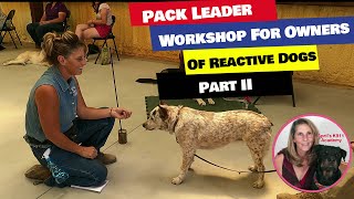 Reactive Dogs Part 2 How To Fix Your Fear Aggressive Shy Or overjoyed Dog [upl. by Lat289]