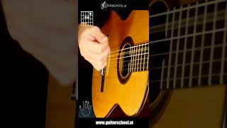 Rumba flamenca Solo Guitar  Tutorial with Chords [upl. by Kanor374]