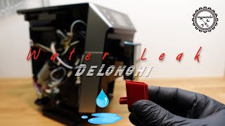 DeLonghi Primadonna Loses Water  Repair  Step by Step [upl. by Plusch]